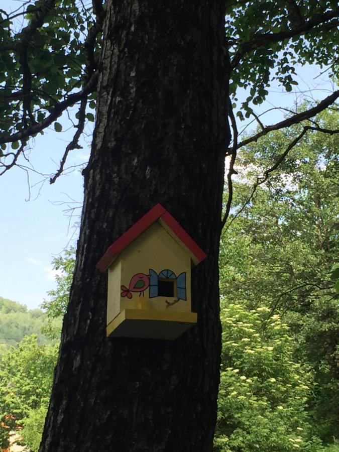 모이코바츠 Eco Kutak 빌라 외부 사진